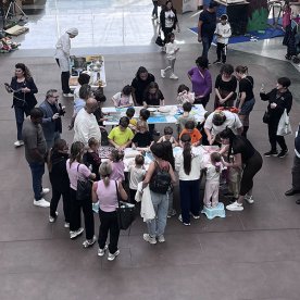 Domus - 12 ottobre 2025