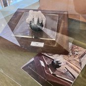 Exhibition 2025
