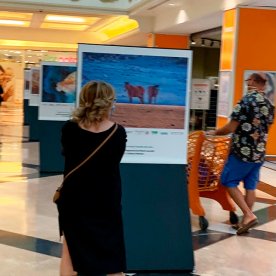 Obiettivo Terra - 2021