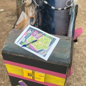 Recycled Car Race 2024